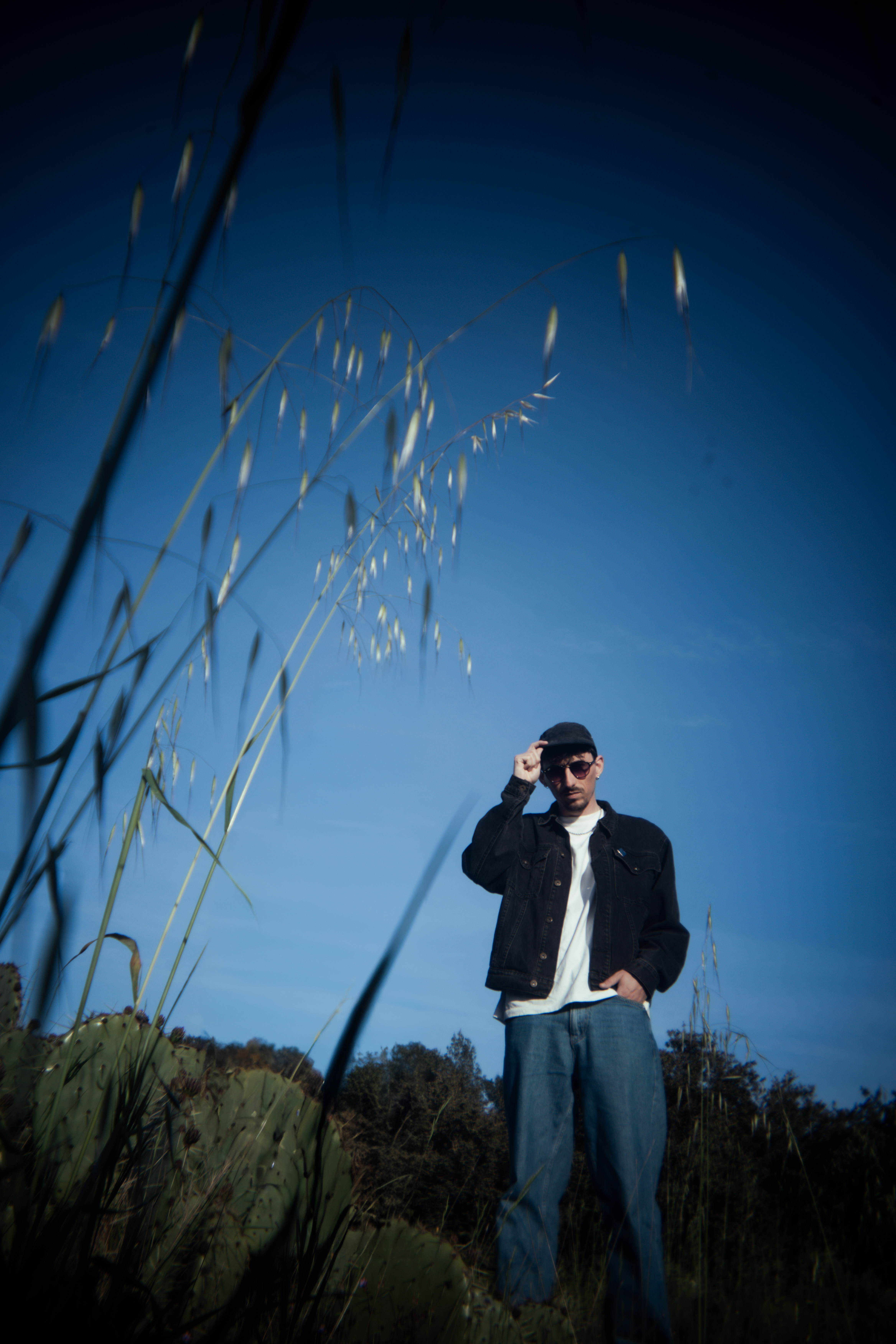 Franck - Komafactory